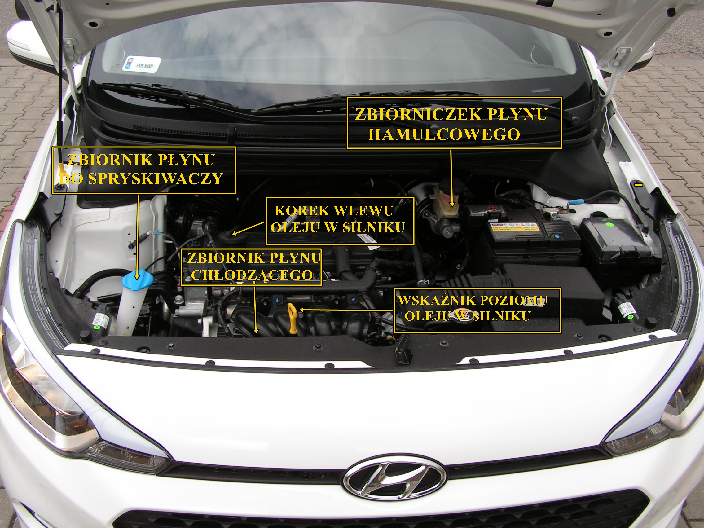 Hyundai I20 – Płyny Eksploatacyjne | Mega-Jazda